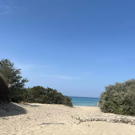 Le Finestre Sulla Torre - *